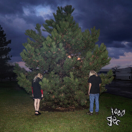 100 gecs - 1000 Gecs - Vinyl